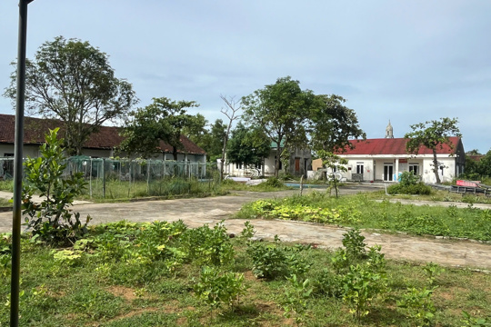 Thông báo lần 6 đợt i năm 2026 về việc cho thuê nhà, đất không dùng vào mục đích để ở do trung tâm dịch vụ tổng hợp xã mai phụ quản lý, khai thác 