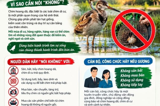 Chung tay bảo vệ chim di cư tự nhiên: Hành động thiết thực từ cộng đồng xã Mai Phụ 